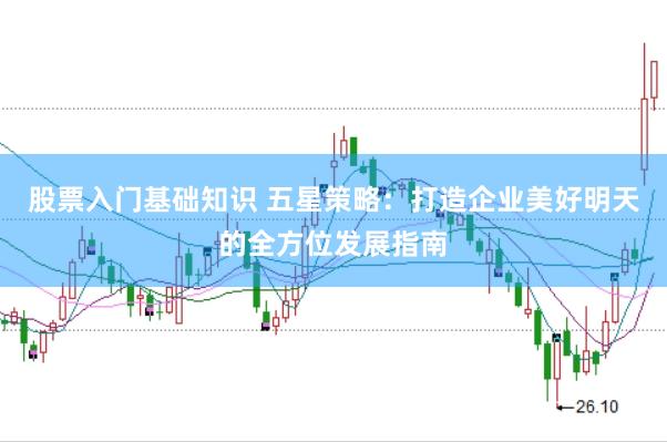 股票入门基础知识 五星策略：打造企业美好明天的全方位发展指南