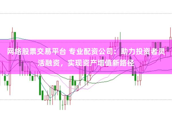 网络股票交易平台 专业配资公司：助力投资者灵活融资，实现资产增值新路径