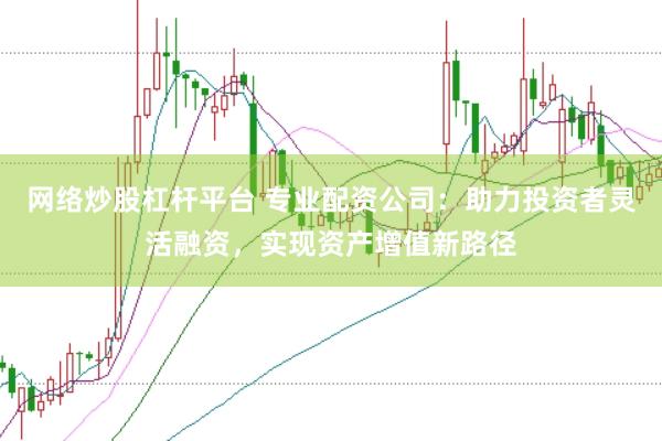 网络炒股杠杆平台 专业配资公司：助力投资者灵活融资，实现资产增值新路径