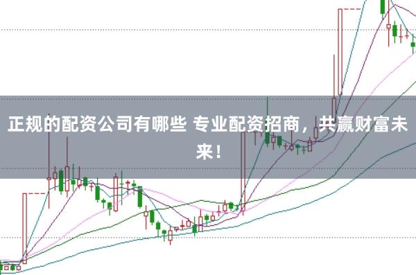 正规的配资公司有哪些 专业配资招商，共赢财富未来！