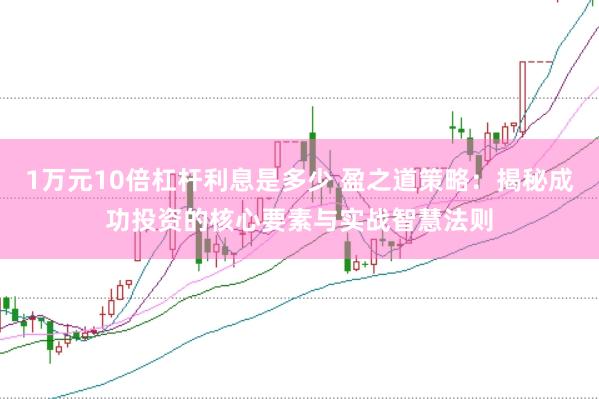 1万元10倍杠杆利息是多少 盈之道策略：揭秘成功投资的核心要素与实战智慧法则