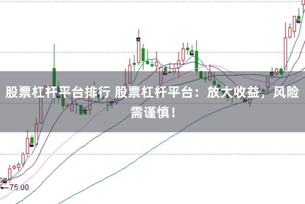 股票杠杆平台排行 股票杠杆平台：放大收益，风险需谨慎！