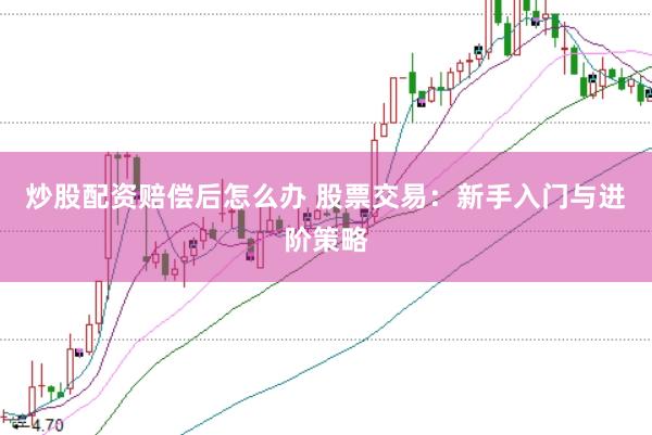 炒股配资赔偿后怎么办 股票交易：新手入门与进阶策略