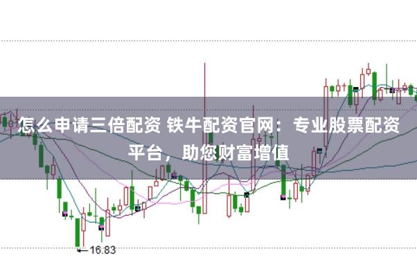 怎么申请三倍配资 铁牛配资官网：专业股票配资平台，助您财富增值