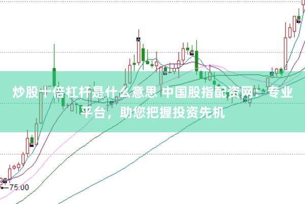 炒股十倍杠杆是什么意思 中国股指配资网：专业平台，助您把握投资先机