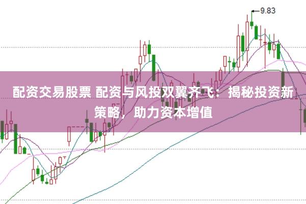 配资交易股票 配资与风投双翼齐飞：揭秘投资新策略，助力资本增值