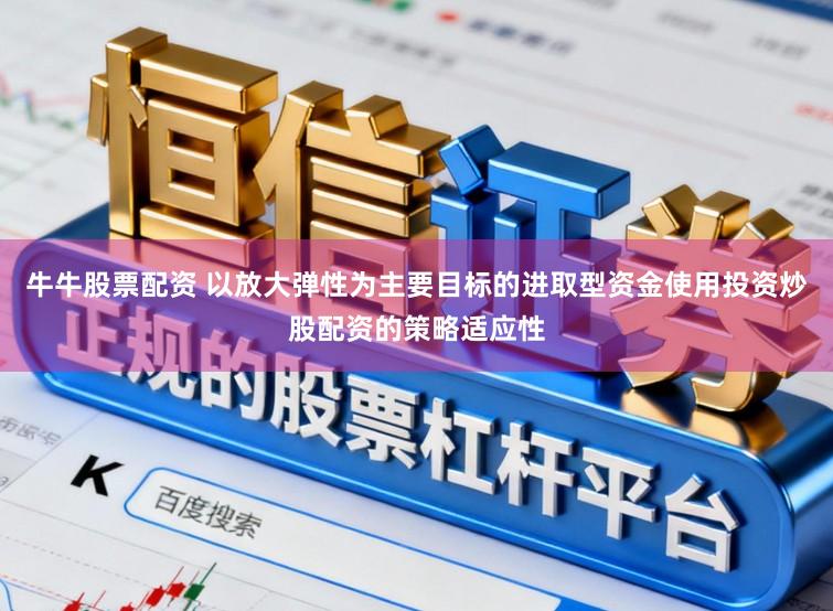 牛牛股票配资 以放大弹性为主要目标的进取型资金使用投资炒股配资的策略适应性