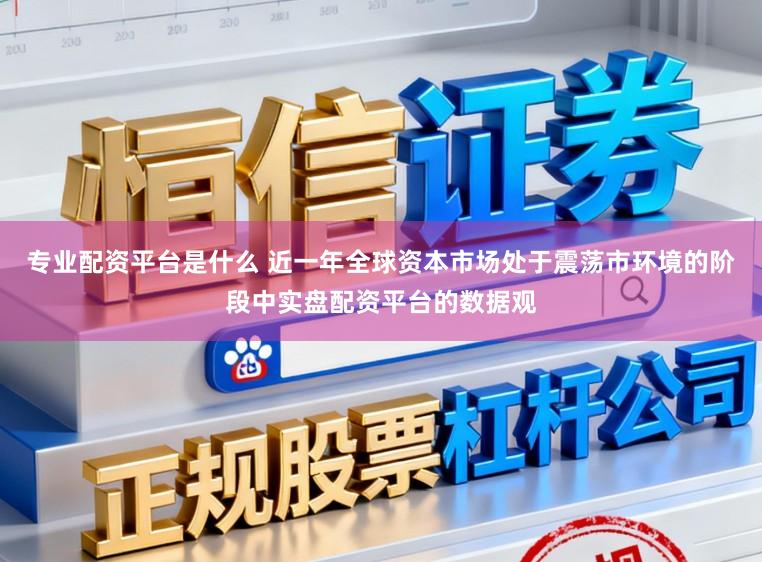 专业配资平台是什么 近一年全球资本市场处于震荡市环境的阶段中实盘配资平台的数据观